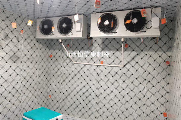 ɽt(y)е
